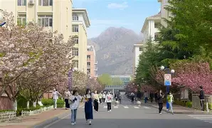 乐鱼-青岛黄海俱乐部最新引援消息